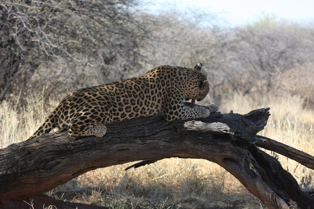 [5564] 2016_06_23_10_17_08_Africa_Canon_EOS_40D_IMG__01015.jpg