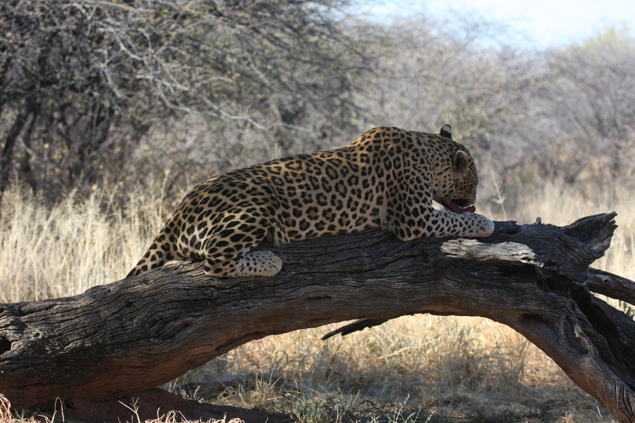 [5575] 2016_06_23_10_17_36_Africa_Canon_EOS_40D_IMG__00186.jpg