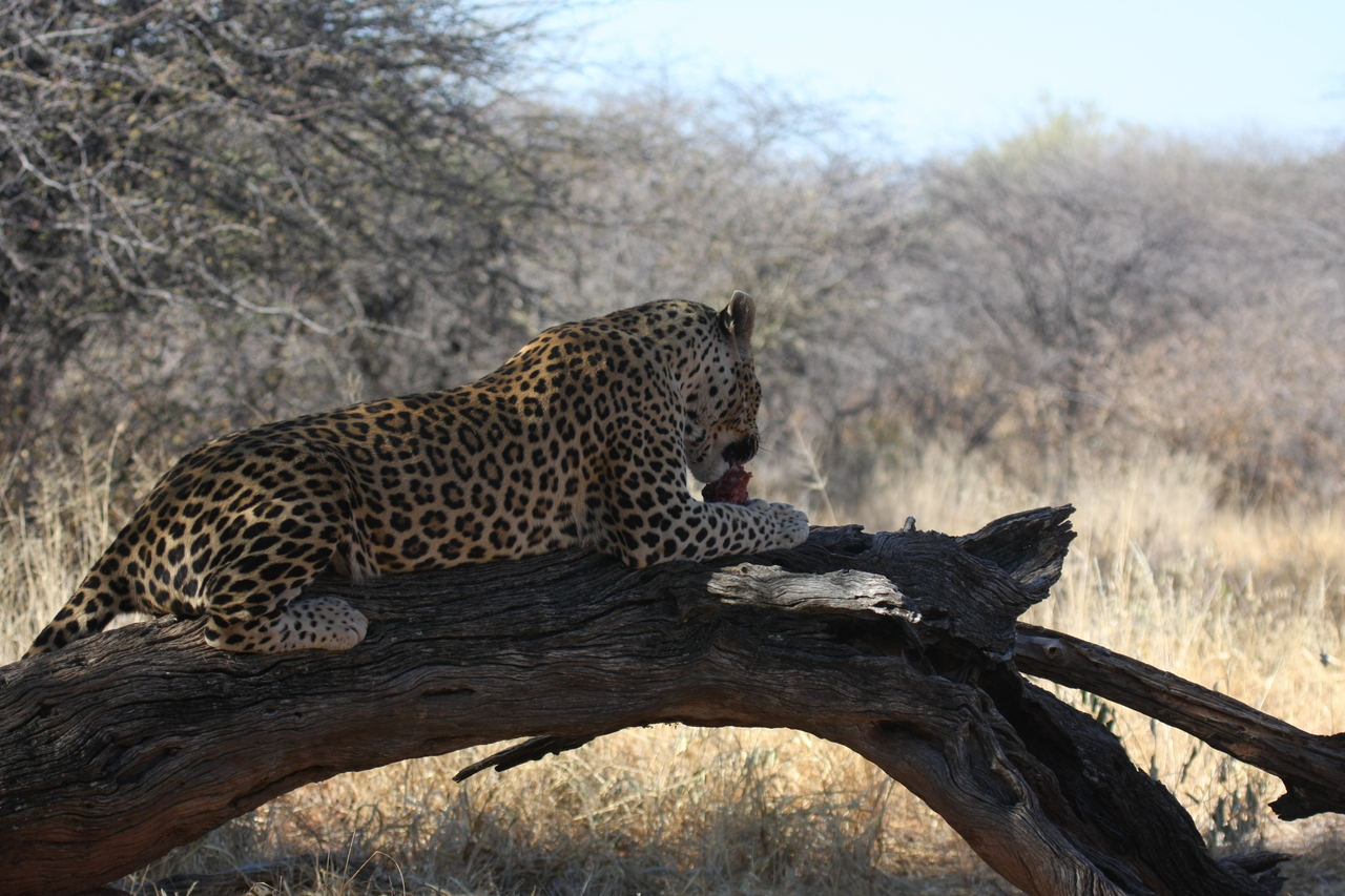 [5596] 2016_06_23_10_18_18_Africa_Canon_EOS_40D_IMG__01025.jpg