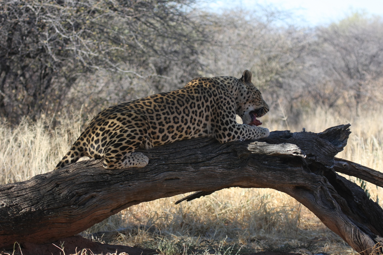 [5602] 2016_06_23_10_18_37_Africa_Canon_EOS_40D_IMG__01027.jpg