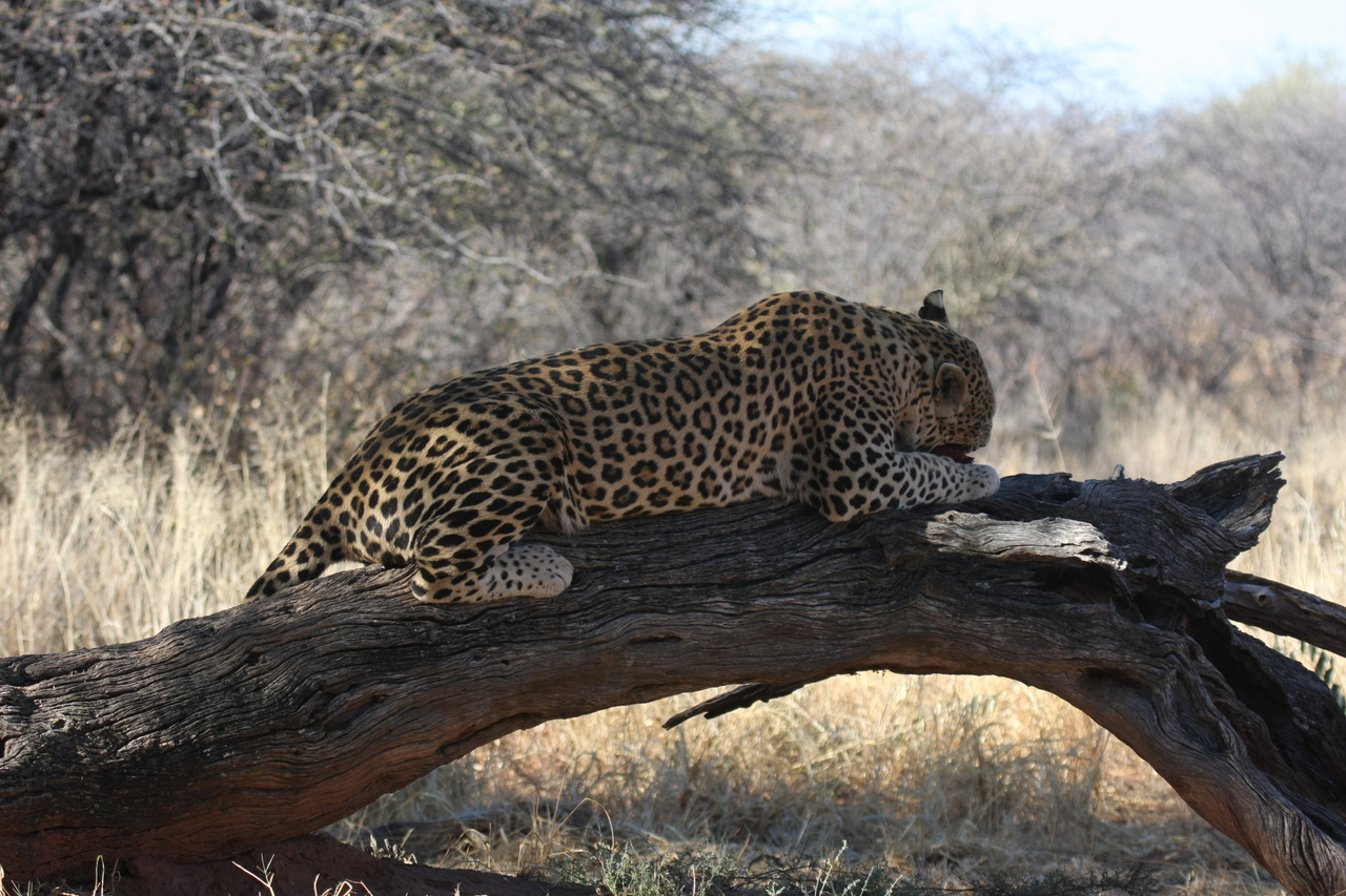 [5608] 2016_06_23_10_18_42_Africa_Canon_EOS_40D_IMG__01029.jpg