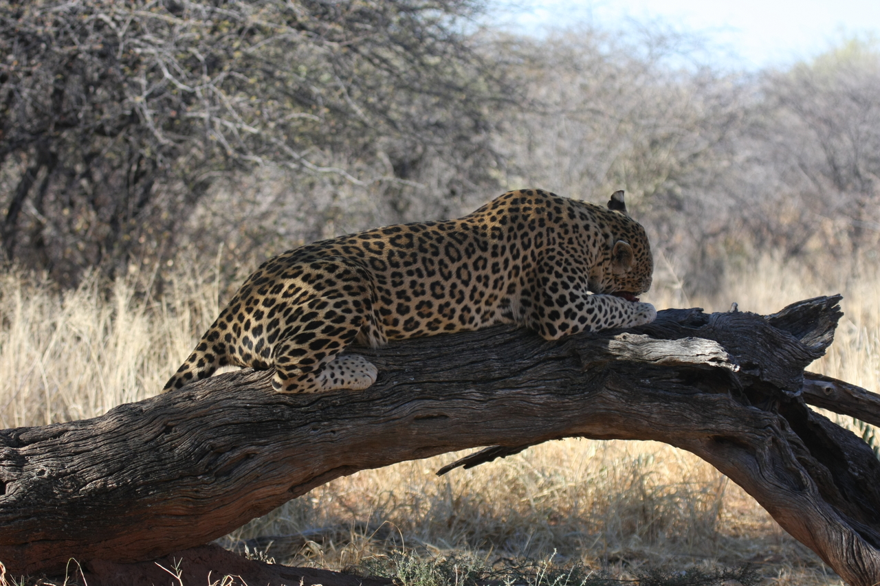 [5611] 2016_06_23_10_18_42_Africa_Canon_EOS_40D_IMG__08477.jpg