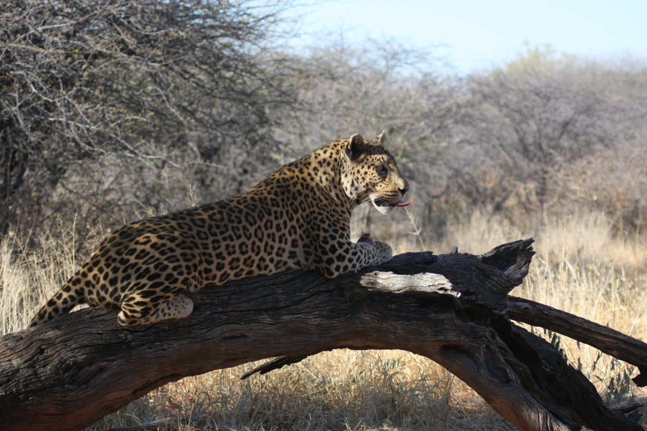 [5624] 2016_06_23_10_23_30_Africa_Canon_EOS_40D_IMG__00201.jpg