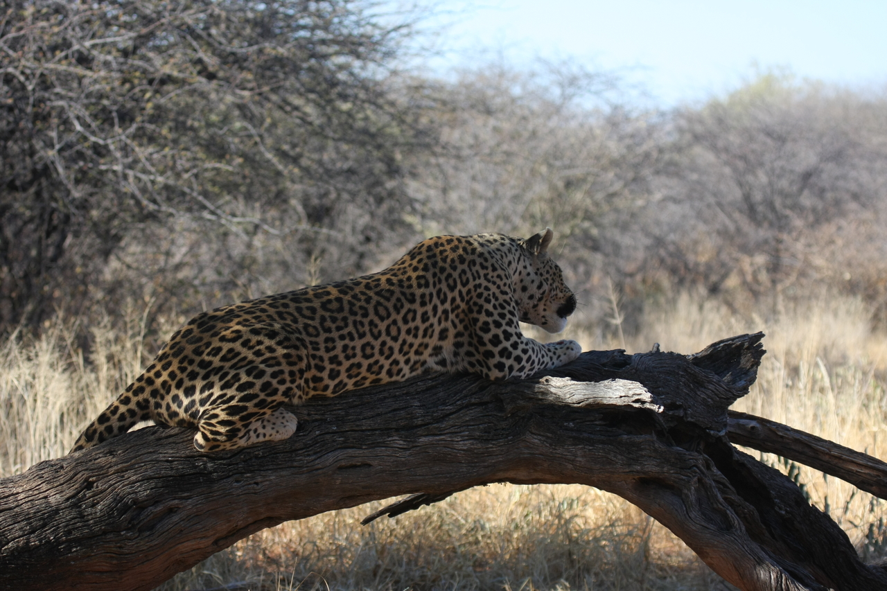 [5642] 2016_06_23_10_24_20_Africa_Canon_EOS_40D_IMG__01037.jpg