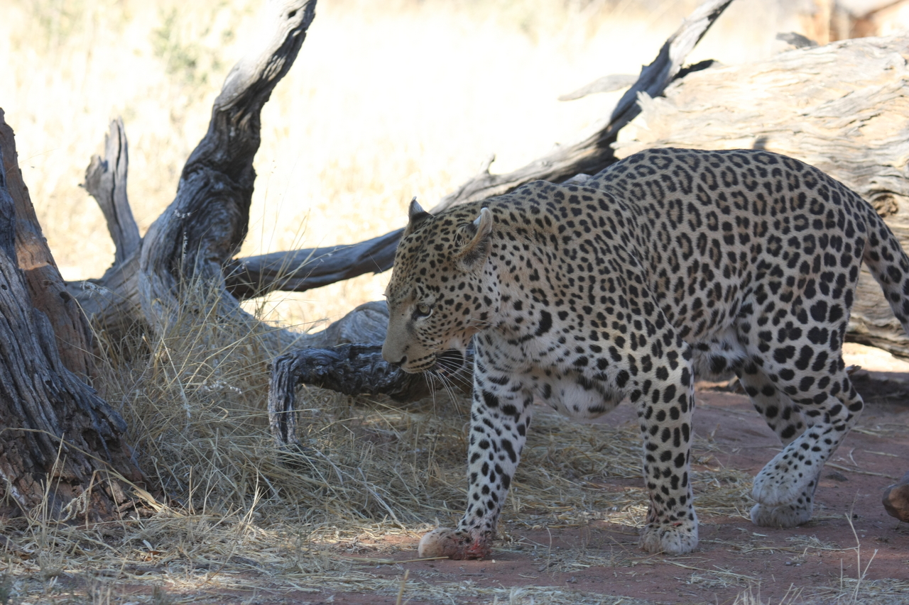 [5673] 2016_06_23_10_25_15_Africa_Canon_EOS_40D_IMG__01047.jpg