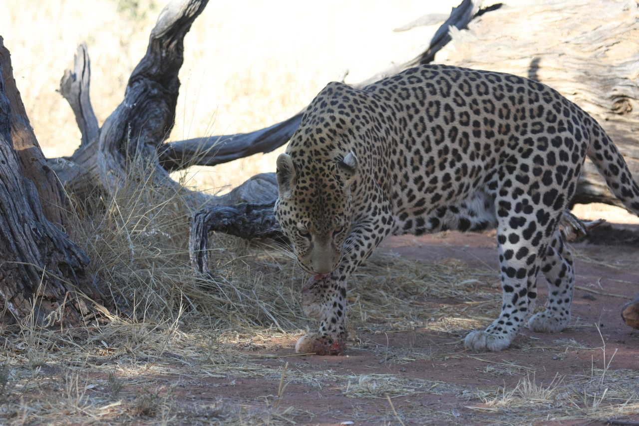 [5681] 2016_06_23_10_25_18_Africa_Canon_EOS_40D_IMG__00216.jpg