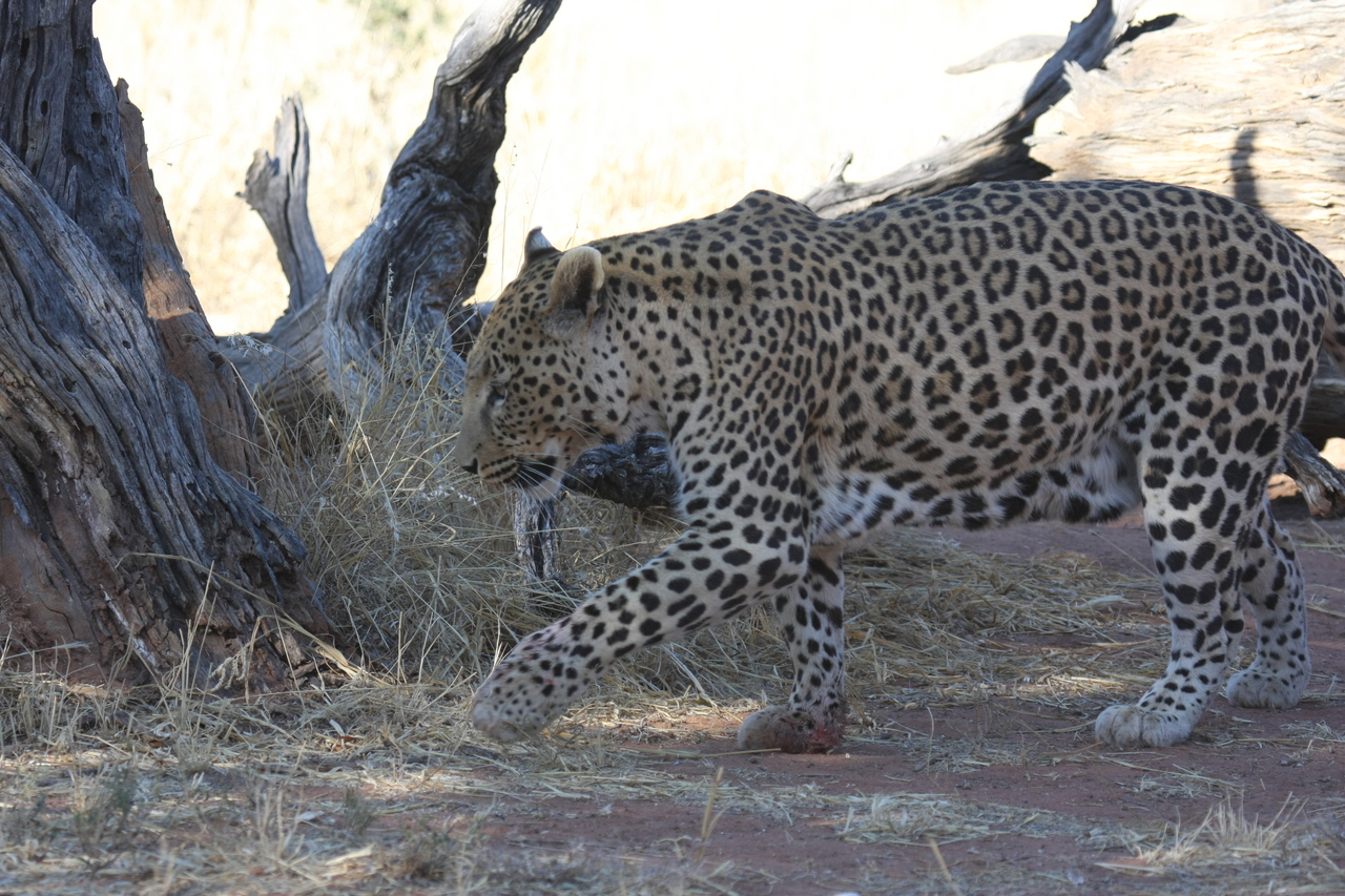 [5694] 2016_06_23_10_25_20_Africa_Canon_EOS_40D_IMG__00221.jpg