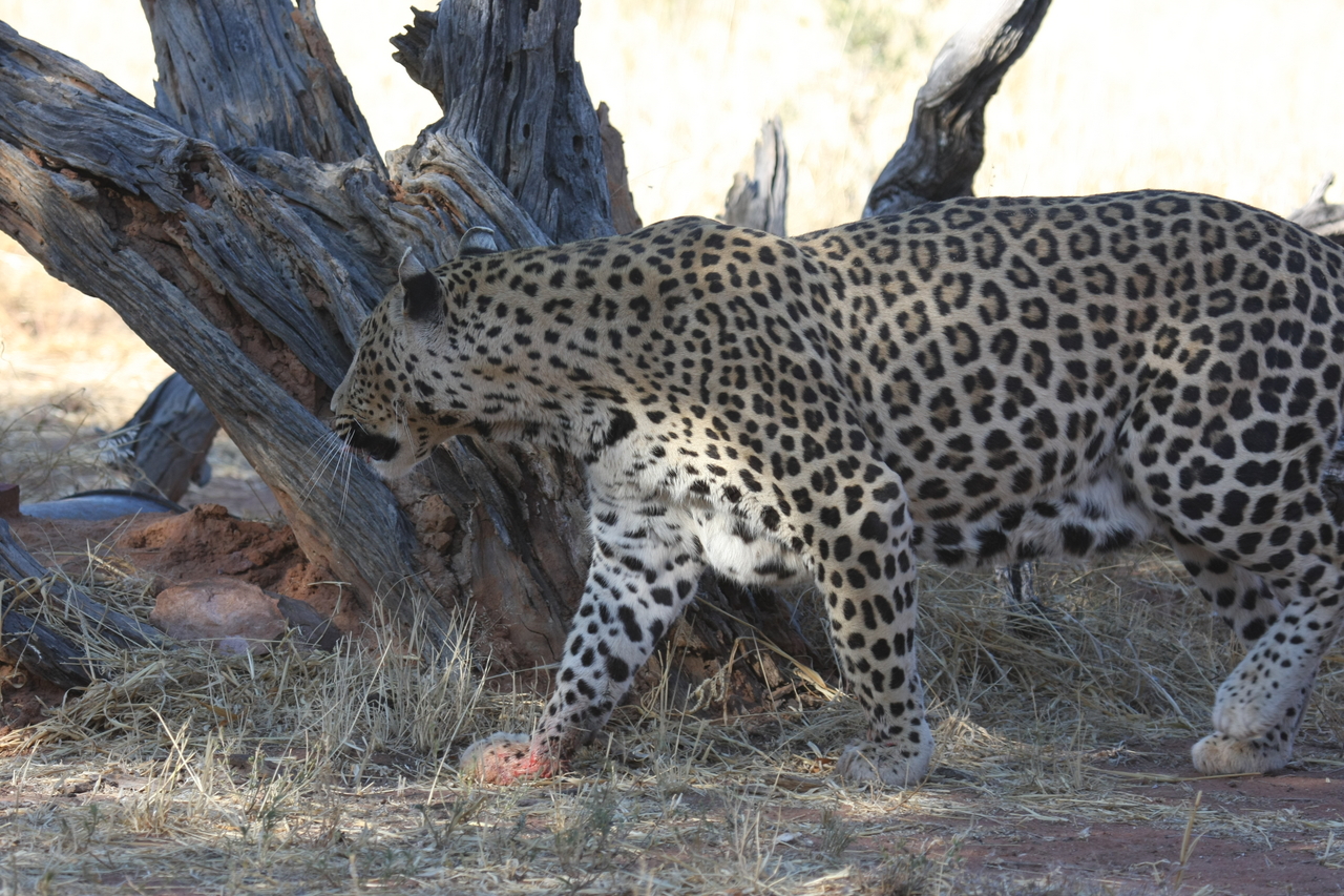 [5700] 2016_06_23_10_25_21_Africa_Canon_EOS_40D_IMG__01056.jpg