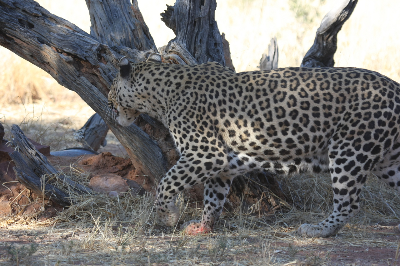 [5702] 2016_06_23_10_25_22_Africa_Canon_EOS_40D_IMG__00223.jpg