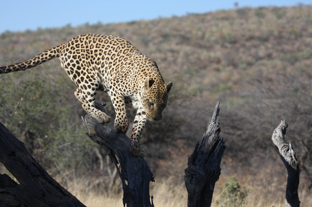 [5715] 2016_06_23_10_25_43_Africa_Canon_EOS_40D_IMG__00228.jpg