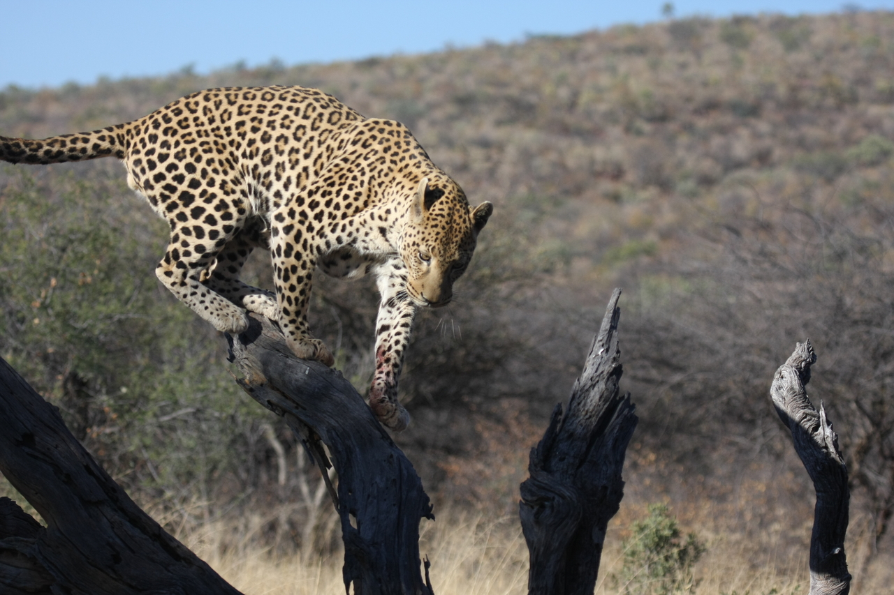 [5720] 2016_06_23_10_25_43_Africa_Canon_EOS_40D_IMG__08508.jpg