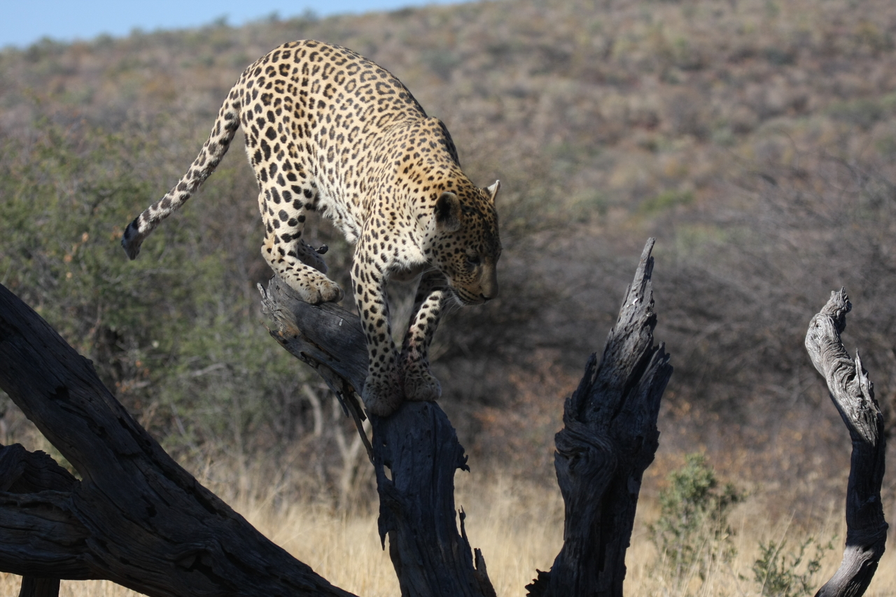 [5727] 2016_06_23_10_25_46_Africa_Canon_EOS_40D_IMG__00232.jpg