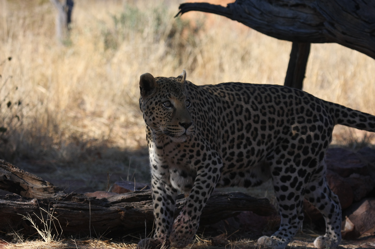 [5765] 2016_06_23_10_26_04_Africa_Canon_EOS_40D_IMG__01077.jpg