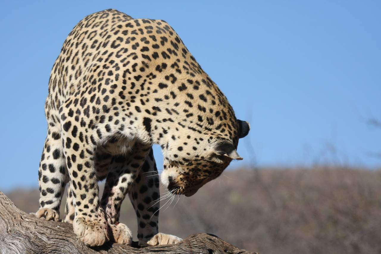 [5809] 2016_06_23_10_26_29_Africa_Canon_EOS_40D_IMG__01092.jpg