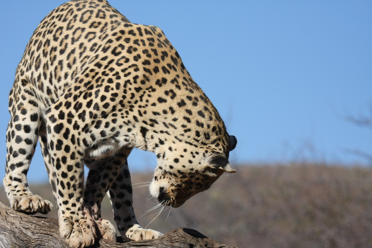 [5810] 2016_06_23_10_26_29_Africa_Canon_EOS_40D_IMG__01093.jpg