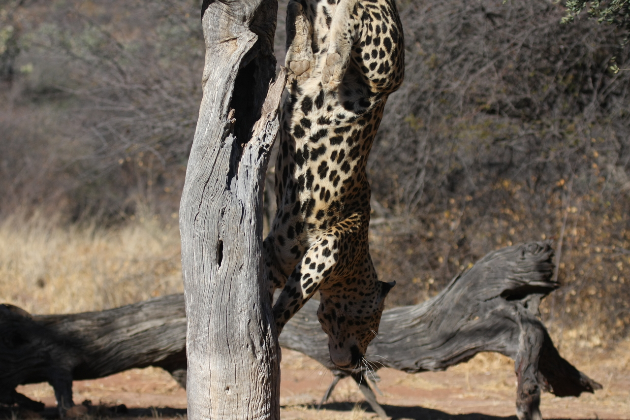 [5817] 2016_06_23_10_26_37_Africa_Canon_EOS_40D_IMG__01095.jpg