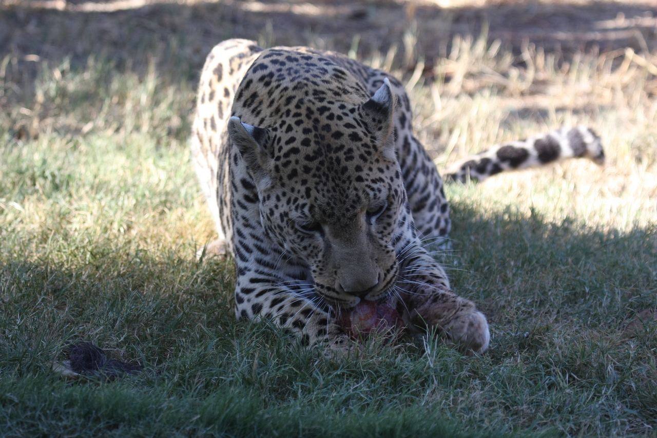 [5869] 2016_06_23_10_27_22_Africa_Canon_EOS_40D_IMG__08555.jpg
