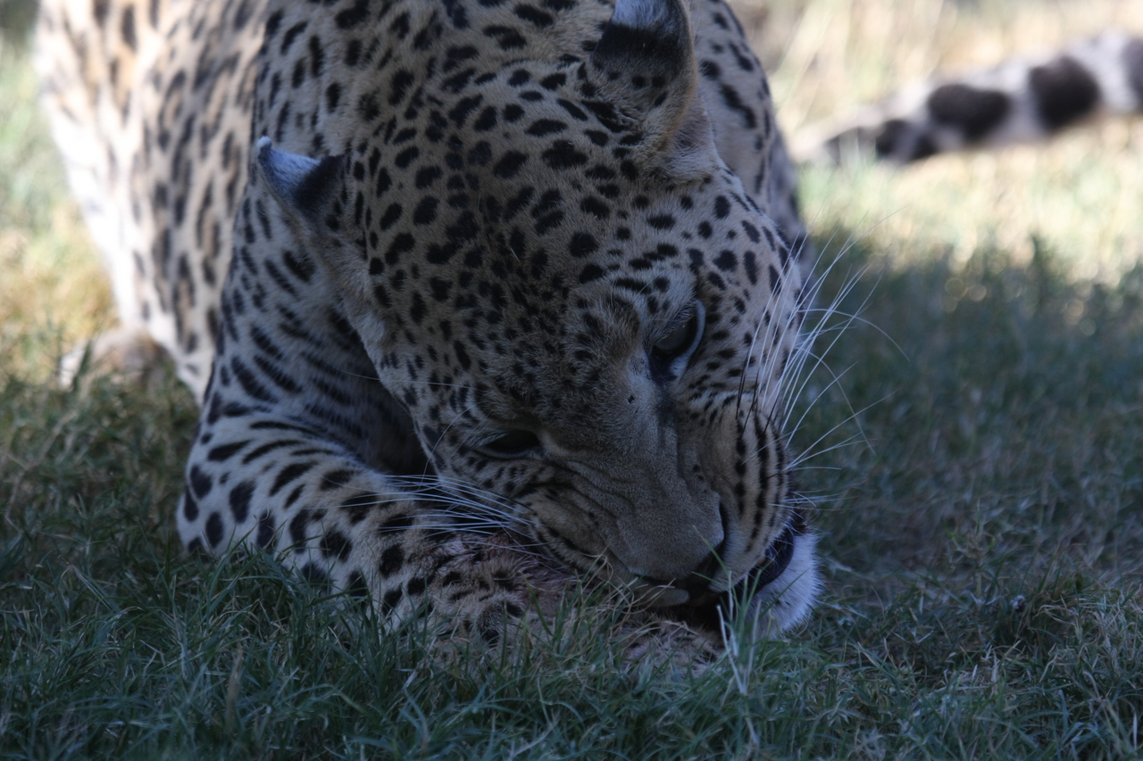 [5875] 2016_06_23_10_27_27_Africa_Canon_EOS_40D_IMG__01110.jpg