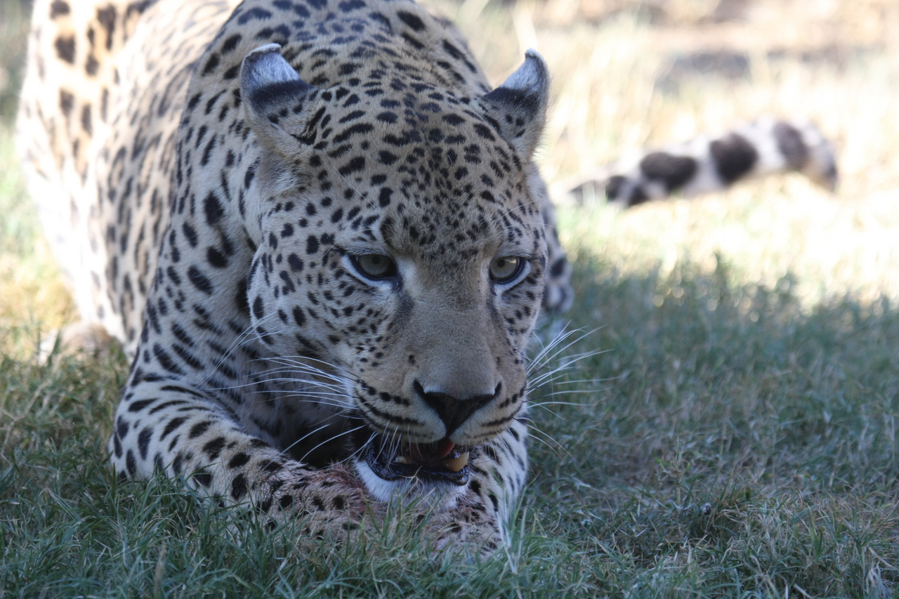 [5883] 2016_06_23_10_27_32_Africa_Canon_EOS_40D_IMG__00280.jpg