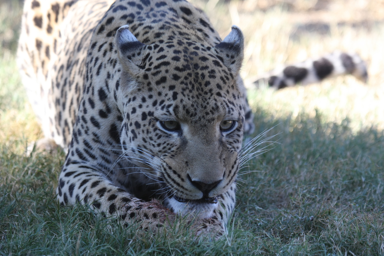 [5892] 2016_06_23_10_27_33_Africa_Canon_EOS_40D_IMG__01115.jpg