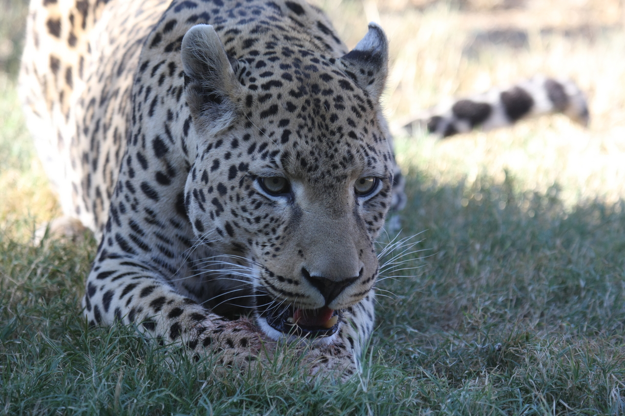 [5899] 2016_06_23_10_27_34_Africa_Canon_EOS_40D_IMG__01117.jpg