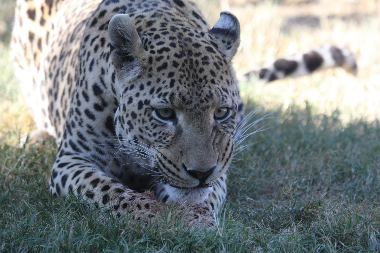 [5903] 2016_06_23_10_27_34_Africa_Canon_EOS_40D_IMG__08565.jpg