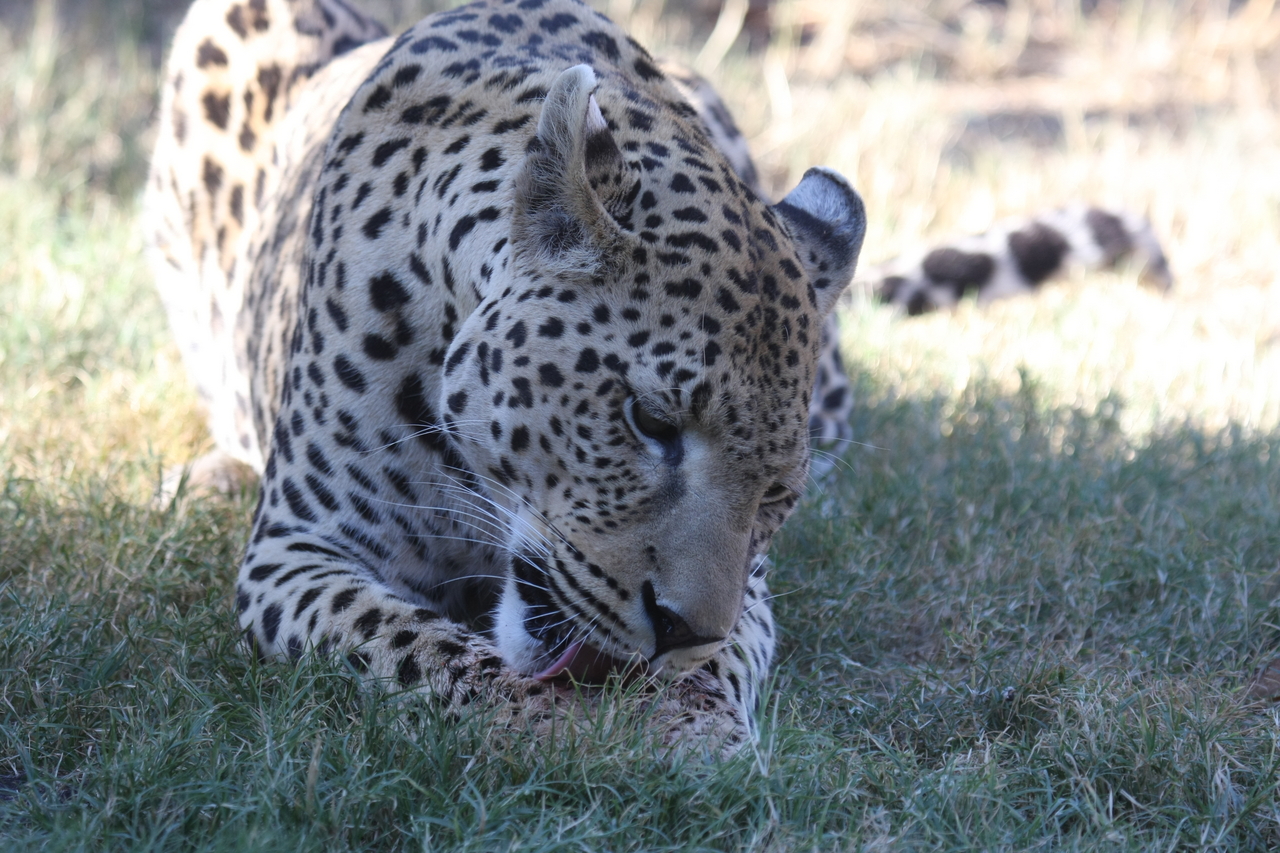 [5915] 2016_06_23_10_27_43_Africa_Canon_EOS_40D_IMG__01123.jpg
