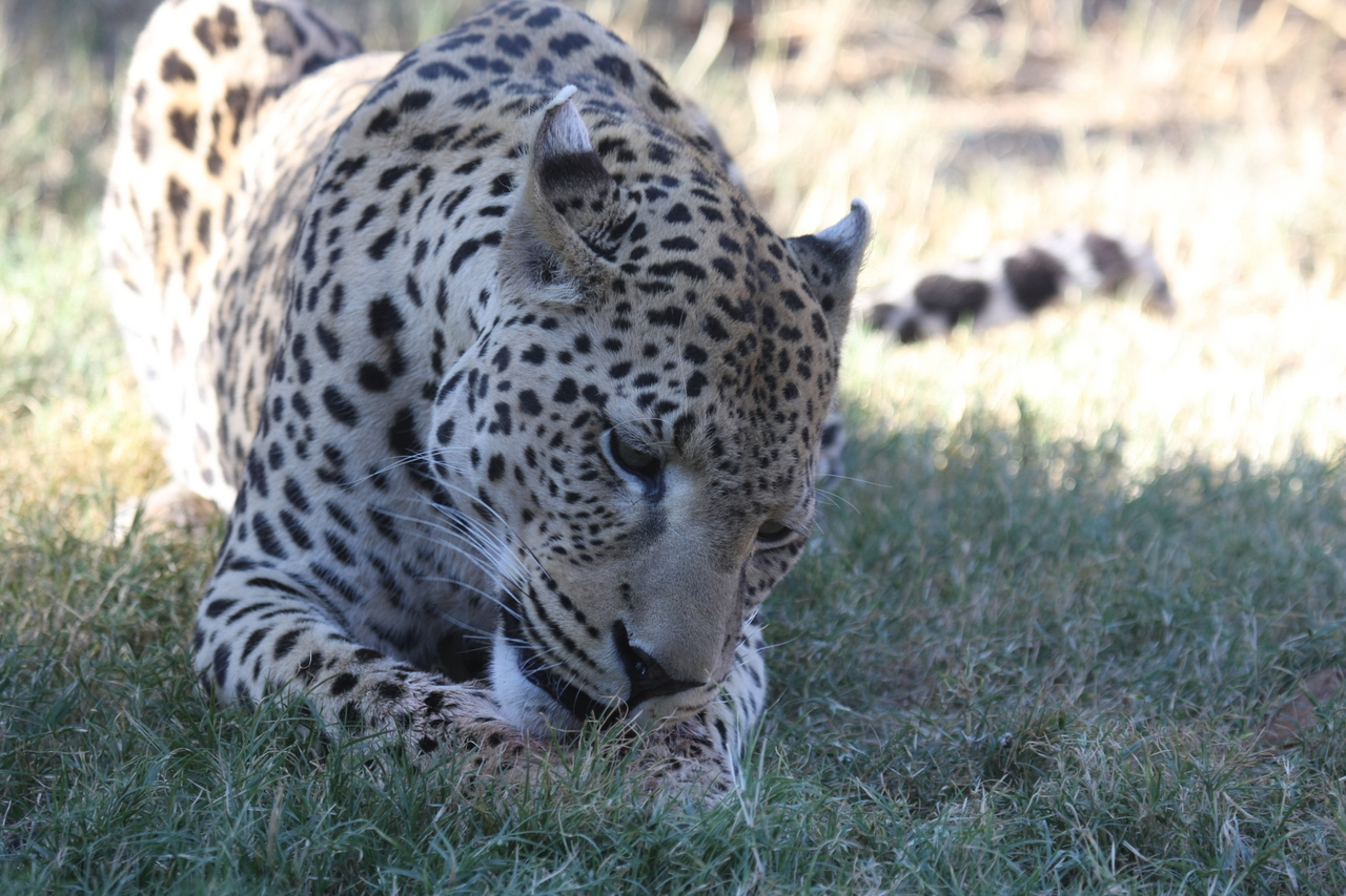 [5920] 2016_06_23_10_27_45_Africa_Canon_EOS_40D_IMG__01125.jpg