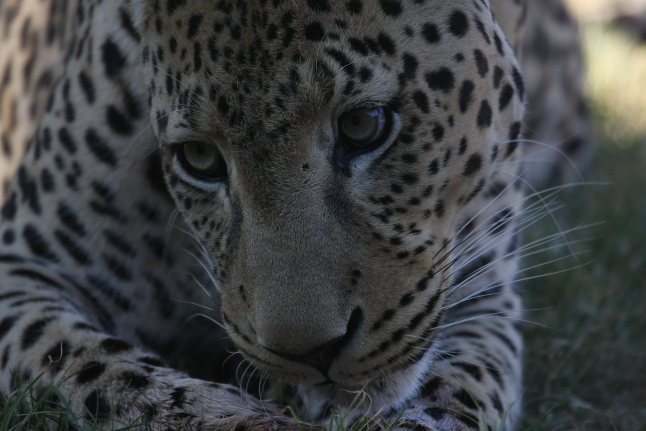 [5940] 2016_06_23_10_27_52_Africa_Canon_EOS_40D_IMG__08578.jpg