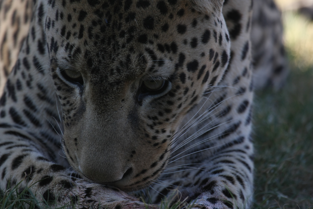 [5943] 2016_06_23_10_27_53_Africa_Canon_EOS_40D_IMG__00300.jpg