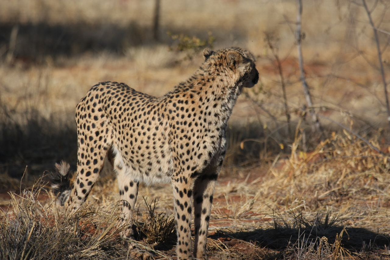 [6403] 2016_06_23_10_49_17_Africa_Canon_EOS_40D_IMG__01216.jpg
