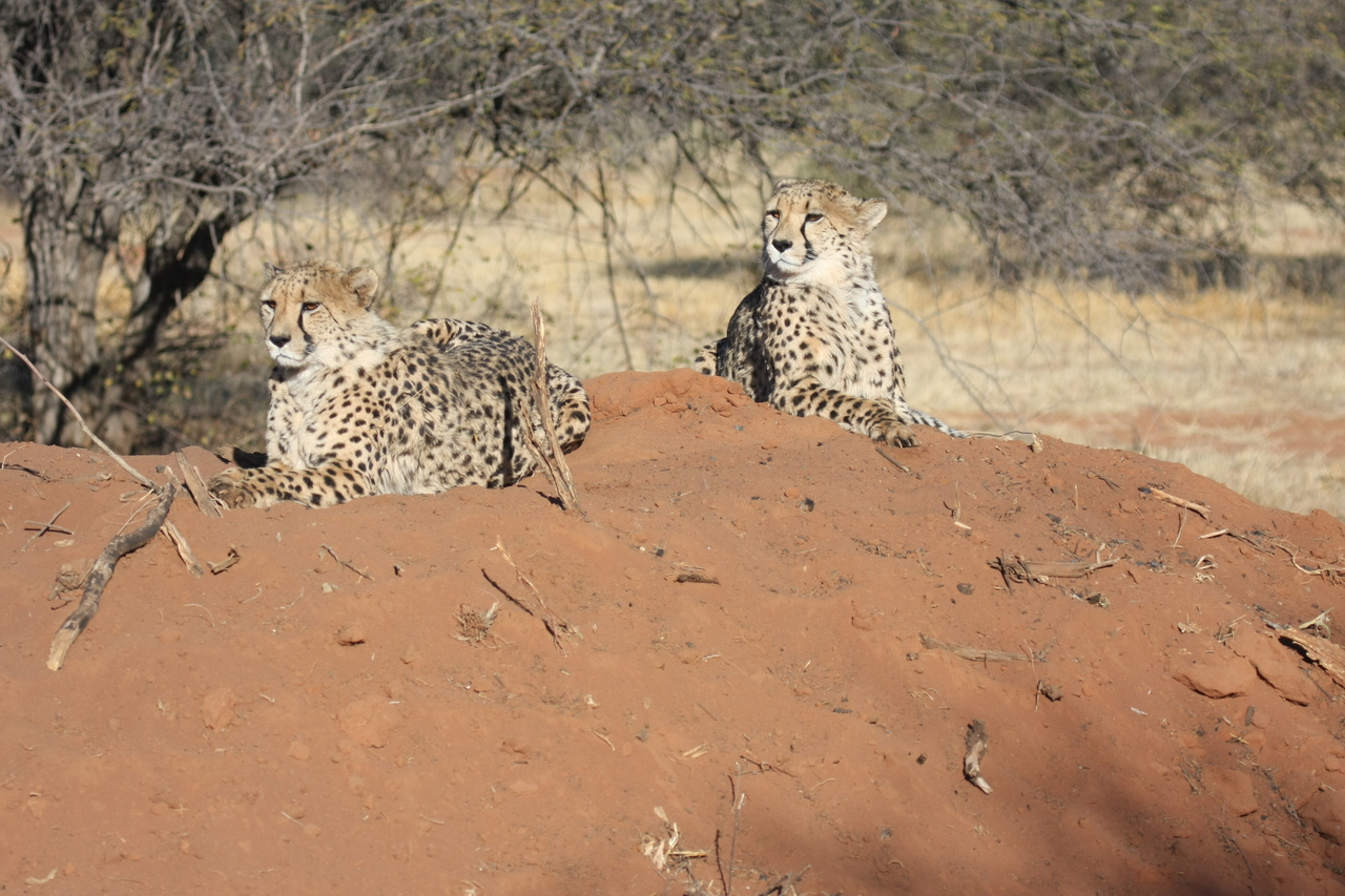 [6486] 2016_06_23_10_53_24_Africa_Canon_EOS_40D_IMG__01244.jpg