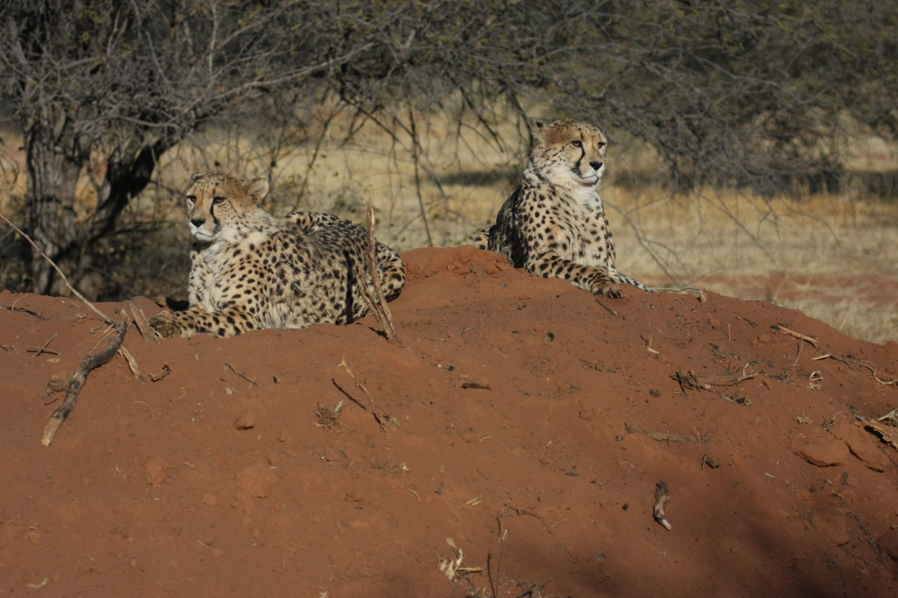 [6489] 2016_06_23_10_53_26_Africa_Canon_EOS_40D_IMG__01245.jpg