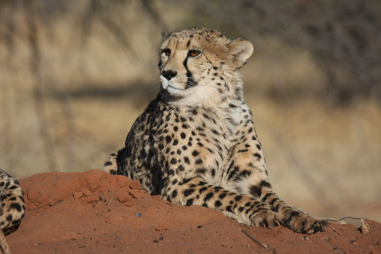 [6611] 2016_06_23_10_55_34_Africa_Canon_EOS_40D_IMG__08727.jpg
