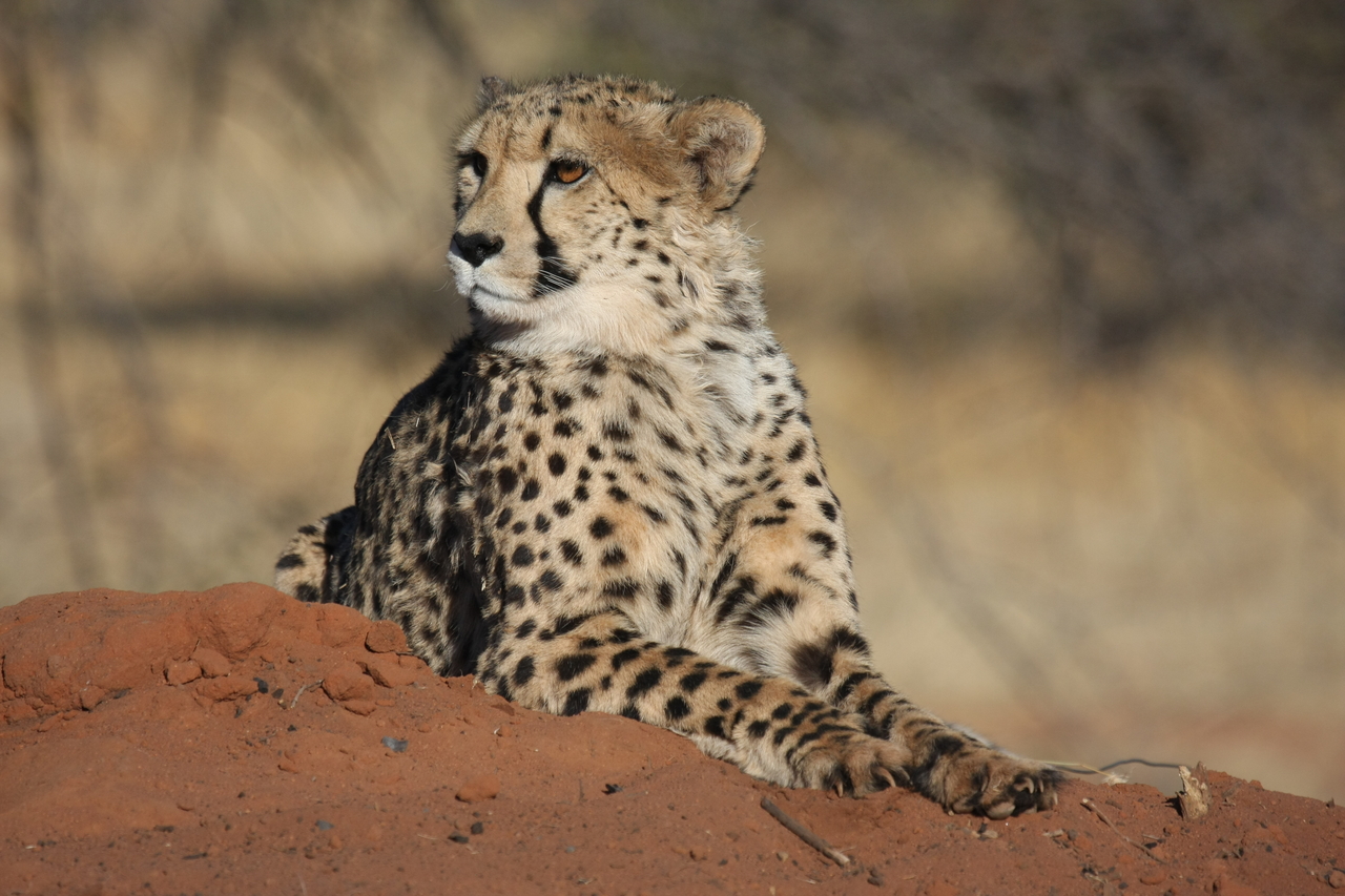 [6648] 2016_06_23_10_56_00_Africa_Canon_EOS_40D_IMG__08734.jpg