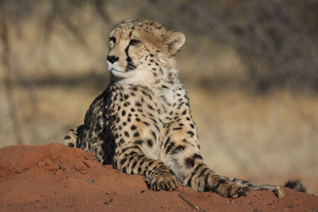 [6677] 2016_06_23_10_56_57_Africa_Canon_EOS_40D_IMG__08743.jpg