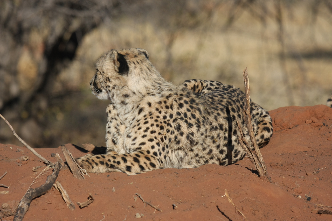 [6690] 2016_06_23_10_57_11_Africa_Canon_EOS_40D_IMG__01301.jpg