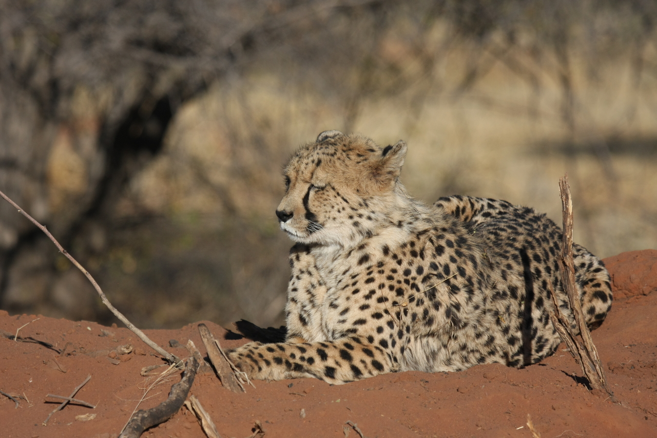 [6699] 2016_06_23_10_57_51_Africa_Canon_EOS_40D_IMG__08751.jpg