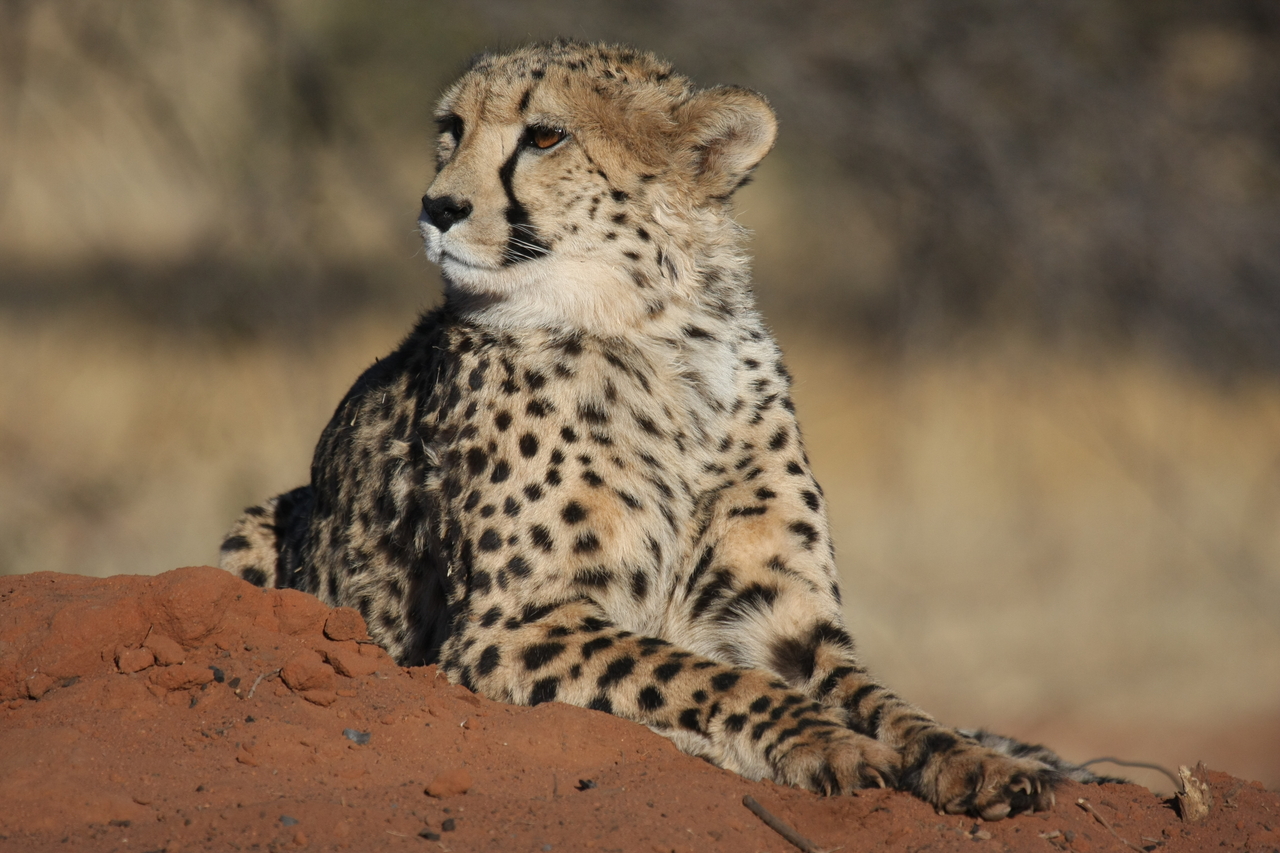 [6707] 2016_06_23_10_58_14_Africa_Canon_EOS_40D_IMG__00474.jpg