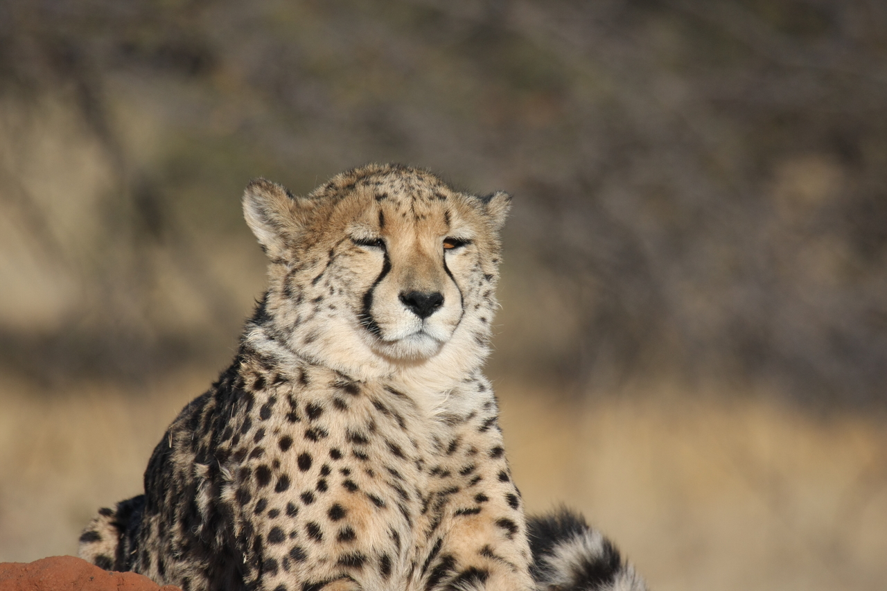[6757] 2016_06_23_10_58_43_Africa_Canon_EOS_40D_IMG__08769.jpg