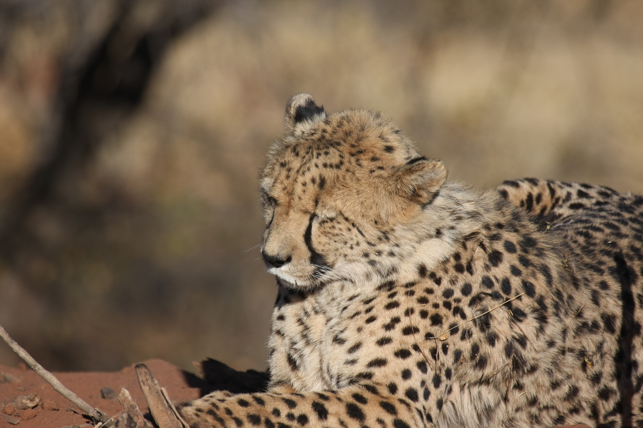 [6796] 2016_06_23_11_00_09_Africa_Canon_EOS_40D_IMG__01334.jpg