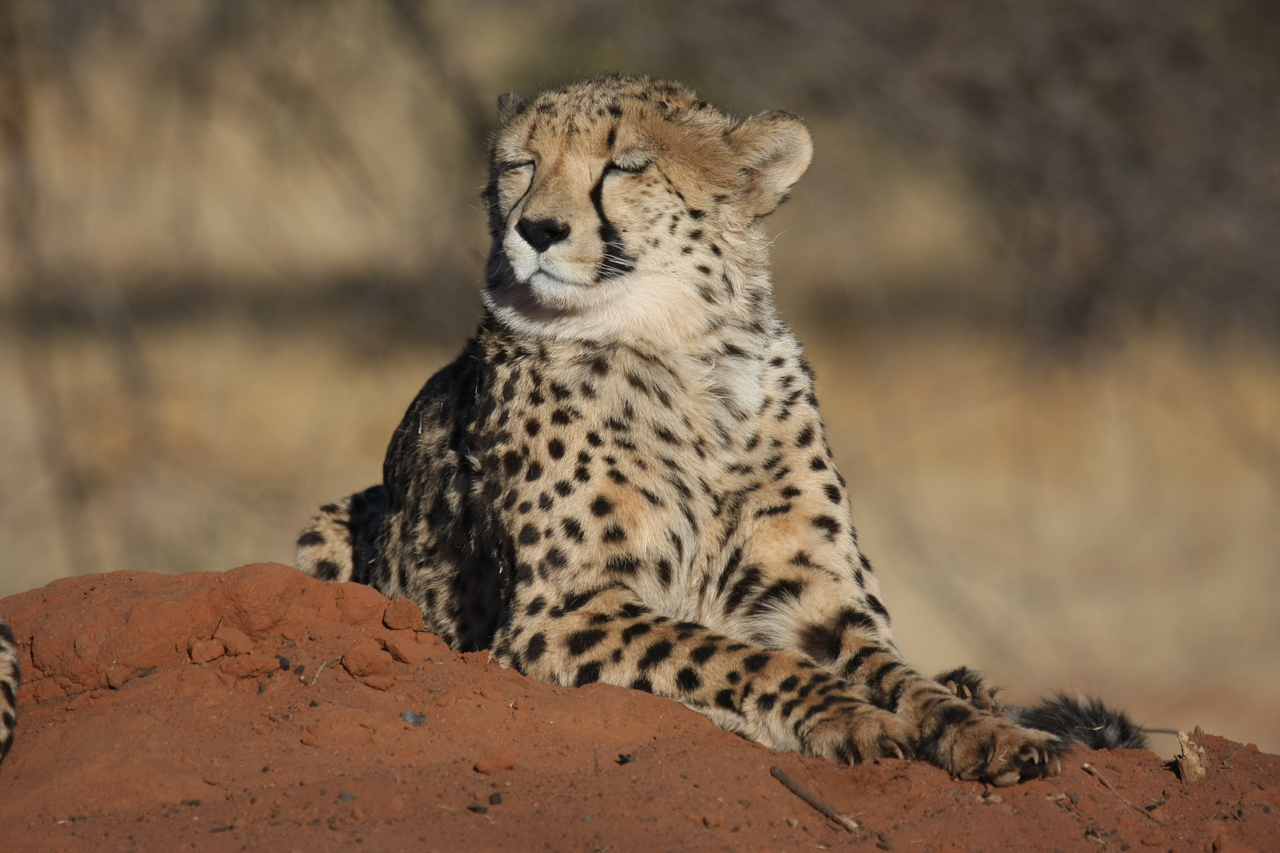 [6912] 2016_06_23_11_03_07_Africa_Canon_EOS_40D_IMG__01368.jpg