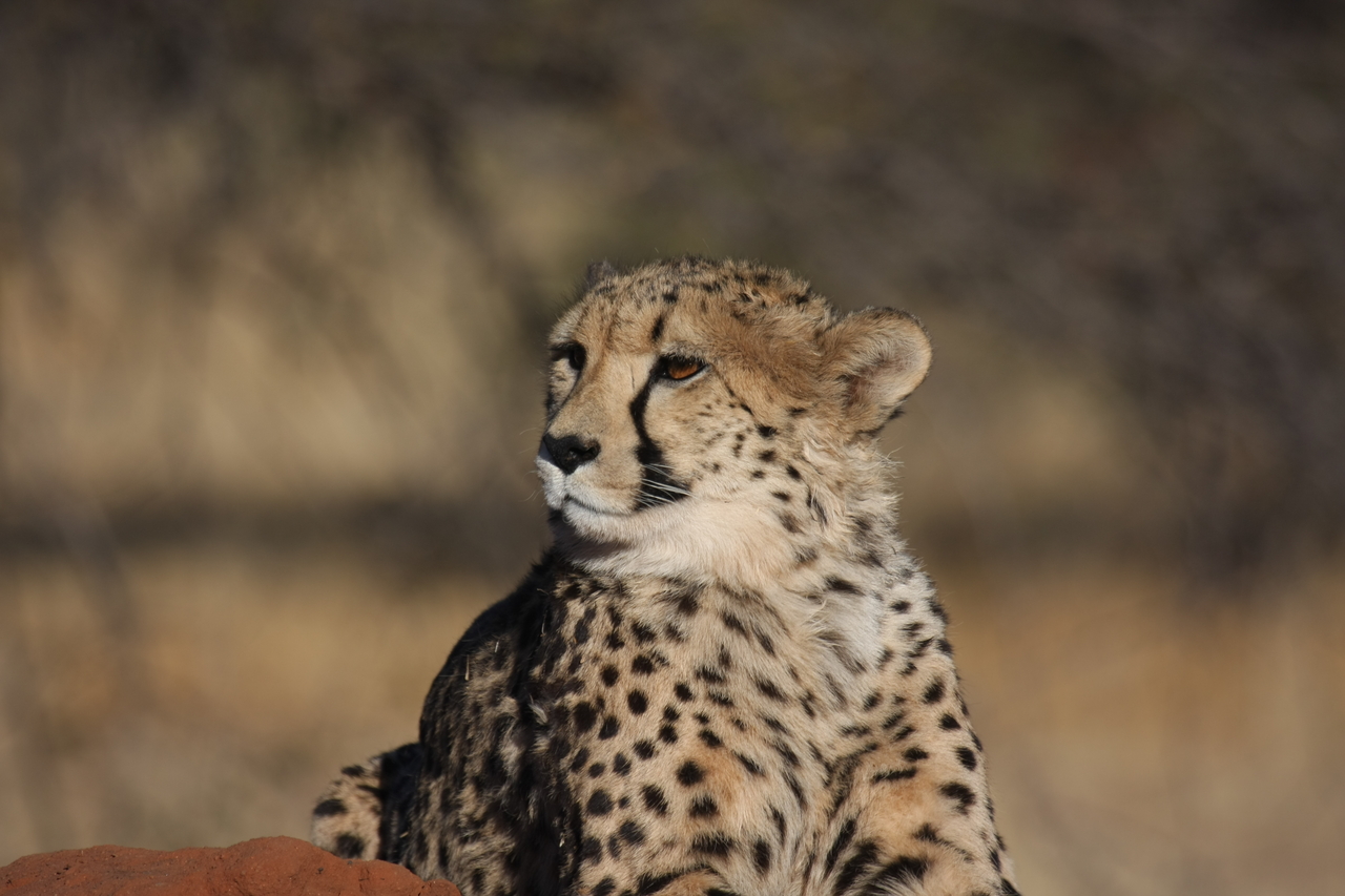 [6921] 2016_06_23_11_03_20_Africa_Canon_EOS_40D_IMG__00538.jpg