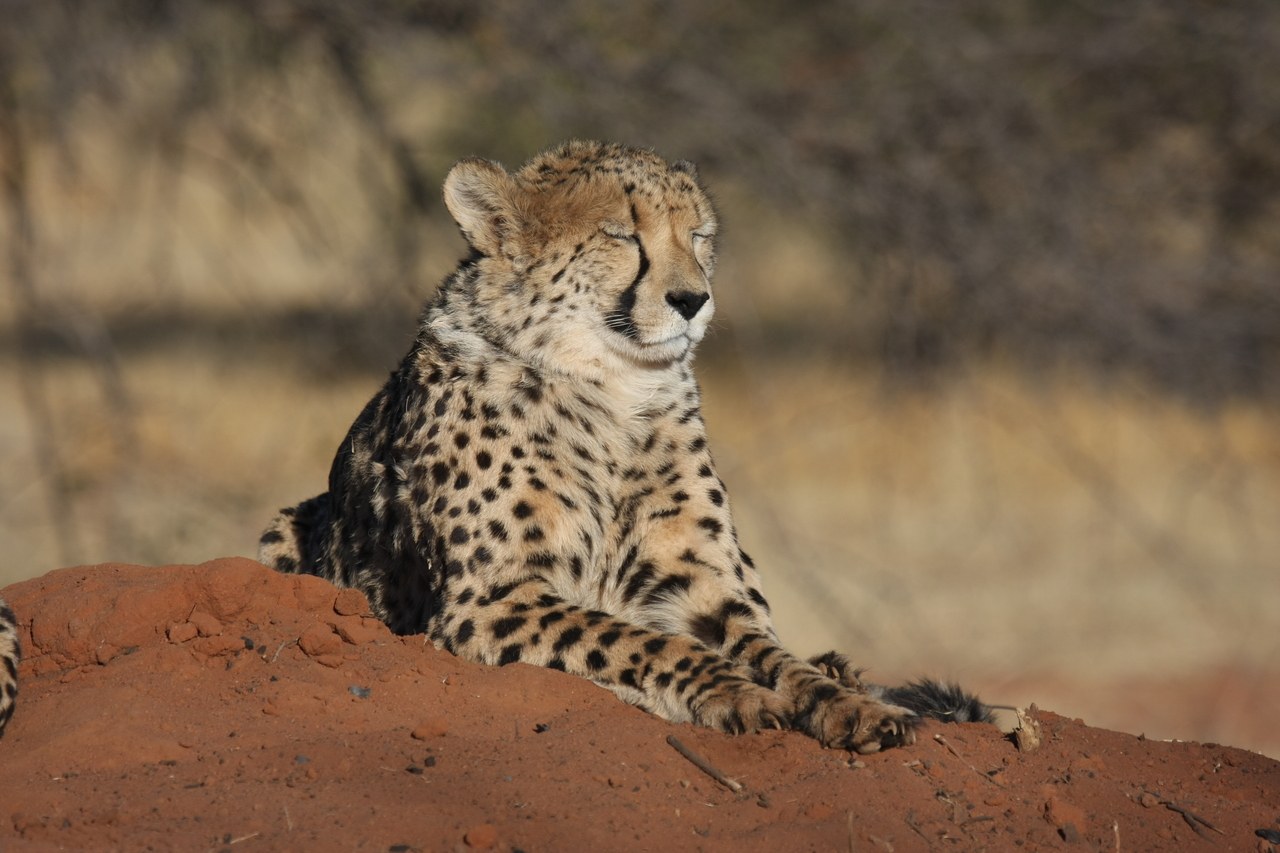 [6943] 2016_06_23_11_04_21_Africa_Canon_EOS_40D_IMG__00546.jpg