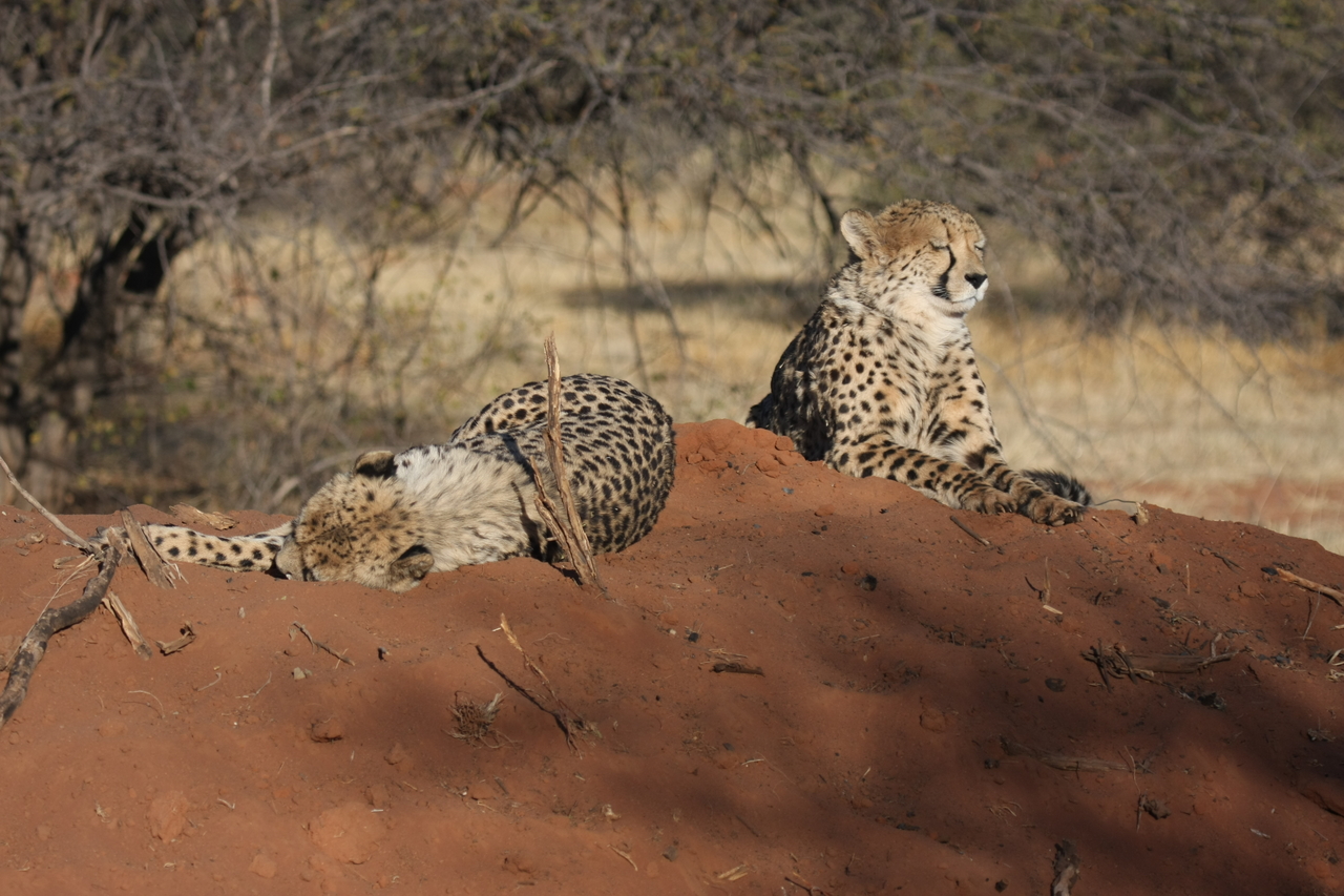 [7018] 2016_06_23_11_08_21_Africa_Canon_EOS_40D_IMG__01400.jpg