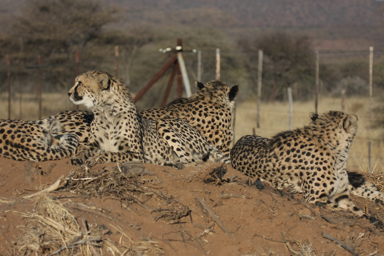 [7166] 2016_06_23_11_20_41_Africa_Canon_EOS_40D_IMG__00601.jpg