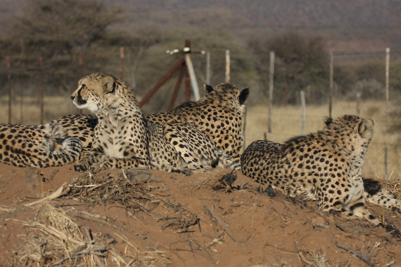 [7170] 2016_06_23_11_20_41_Africa_Canon_EOS_40D_IMG__01436.jpg