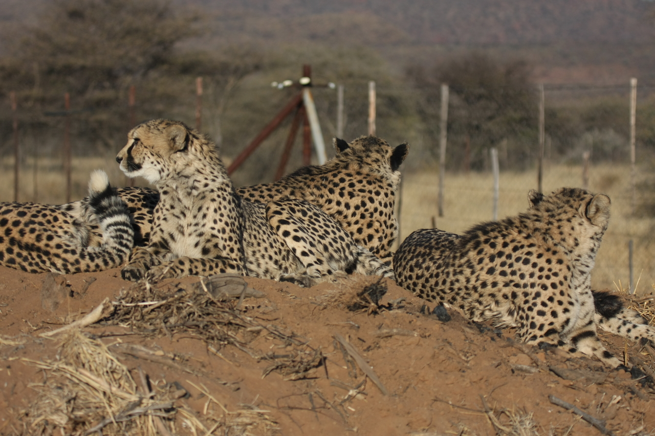 [7171] 2016_06_23_11_20_41_Africa_Canon_EOS_40D_IMG__01437.jpg