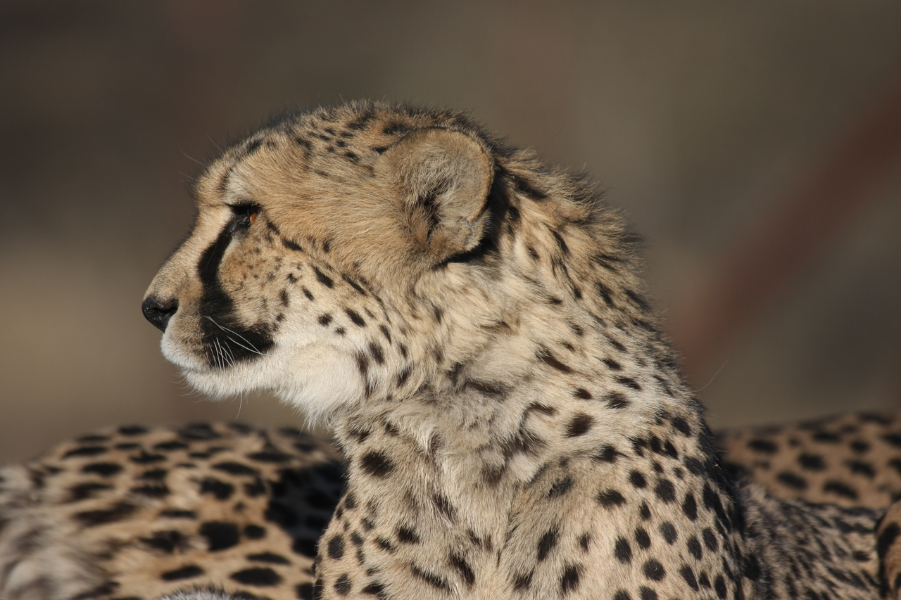 [7175] 2016_06_23_11_20_58_Africa_Canon_EOS_40D_IMG__00604.jpg