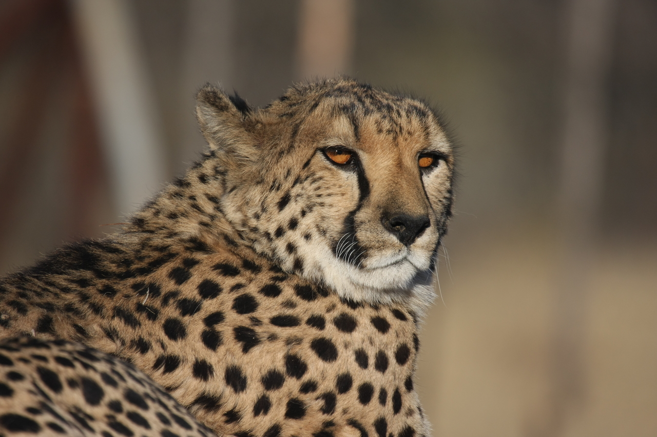 [7179] 2016_06_23_11_21_03_Africa_Canon_EOS_40D_IMG__00606.jpg